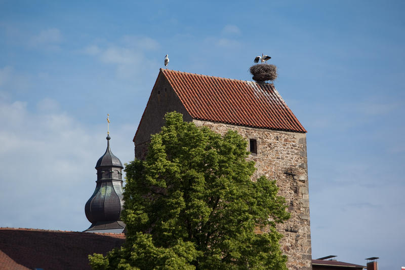 Straubinger Turm mit Störchen